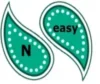 N-Easy Gründungswerft Bild
