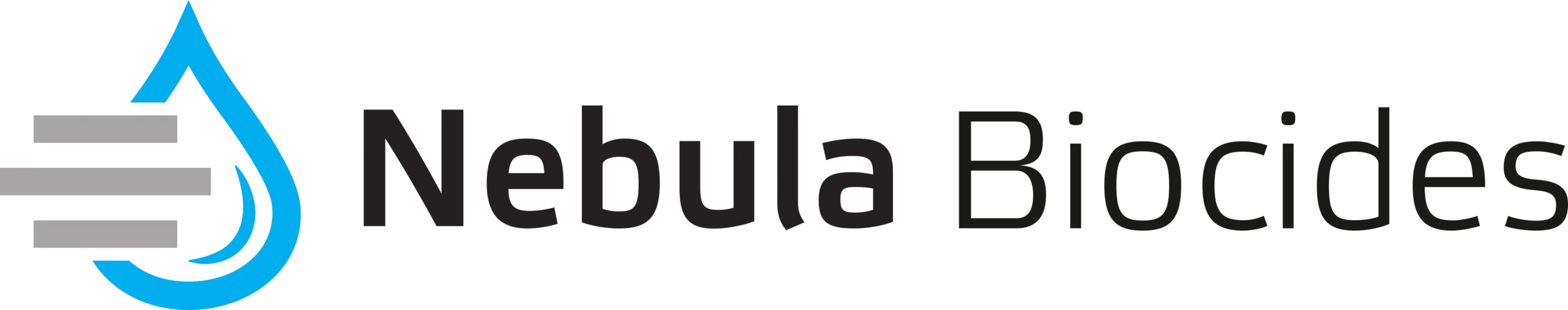 Nebula Biocdes GmbH Logo