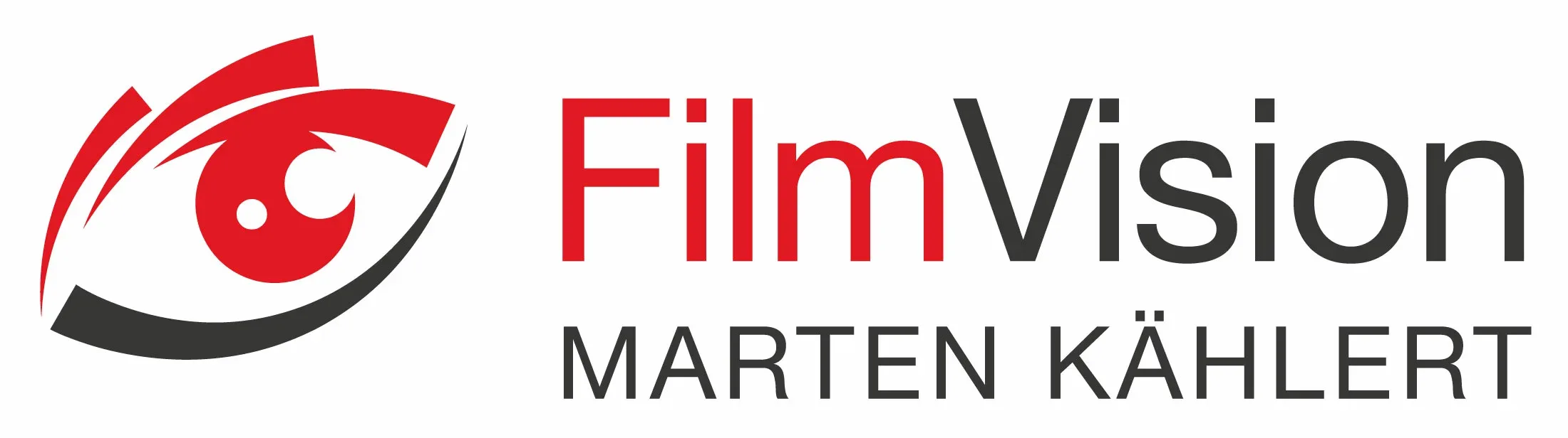 FilmVision Logo